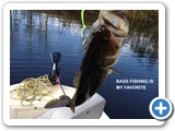 bass_fishing
